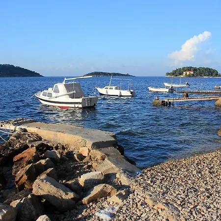 Apartment Apartments By The Sea Vis - 8526 Vis